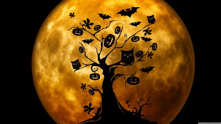 Cute Halloween Desktop Wallpaper (61+ images)