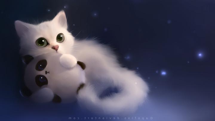 cat stuffed animals animals panda feline toys Wallpapers HD \/ Desktop 
