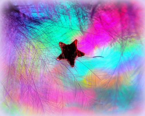 Cool And Cute Wallpapers