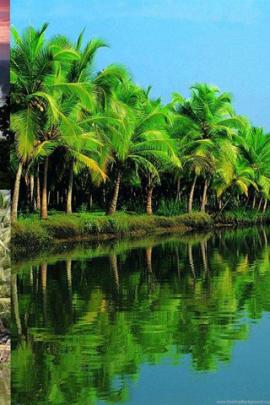 Download Kerala Scenery HD Wallpapers From 2016 Gallery Desktop Background