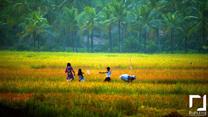 10++ Kerala Nature Hd Wallpapers - Basty Wallpaper