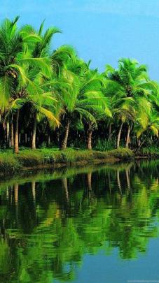 Download Kerala Scenery HD Wallpapers From 2016 Gallery Desktop Background
