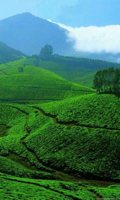 Download Kerala Scenery HD Wallpapers From 2016 Gallery Desktop Background