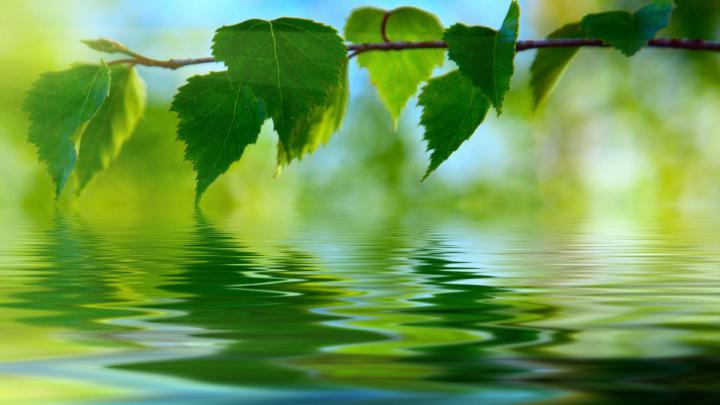 Kerala Nature Wallpapers