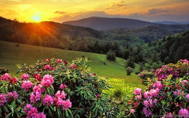 Kerala Scenery Wallpapers Download 54863 Desktop Wallpapers Desktop 