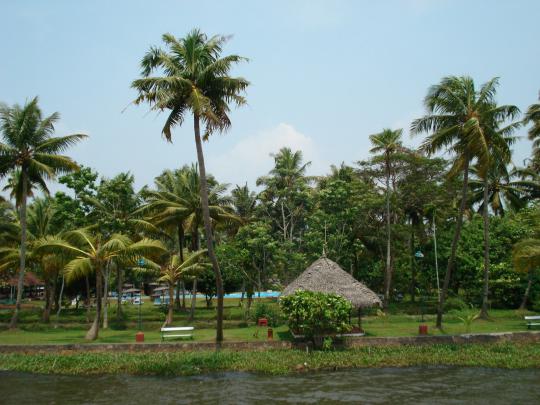 free wallpicz: Wallpaper Desktop Kerala