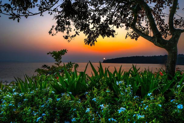 india, Scenery, Sunrises, And, Sunsets, Rivers, Shrubs, Branches 