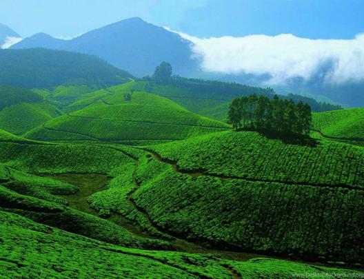 Download Kerala Scenery HD Wallpapers From 2016 Gallery Desktop Background