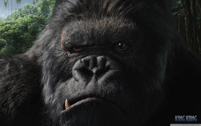 King Kong HD Wallpapers \/ Desktop and Mobile Images \u0026 Photos