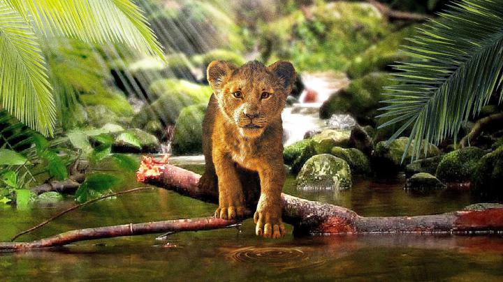 Lion King Desktop Wallpapers