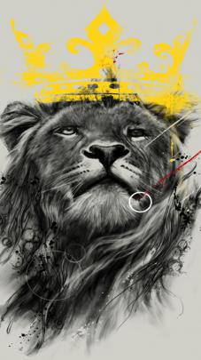 Lion King 4K Wallpapers - Top Free Lion King 4K Backgrounds 