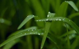 Hd Water Wallpapers For Desktop