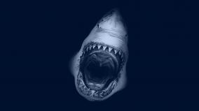 Jaws Desktop Wallpaper
