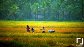 Kerala Scenery Wallpaper Desktop