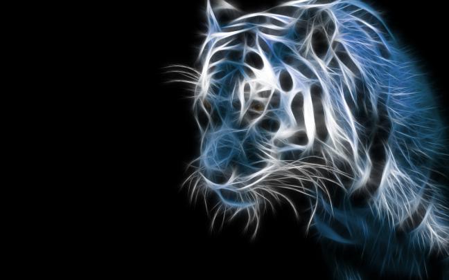 Free download Download Tiger Animal Wallpaper 1920x1080 Full HD 