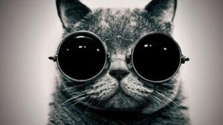 Free download with Goggles HD Wallpaper FullHDWpp Full HD Wallpapers 