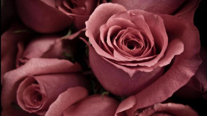 Free download 1920x1080 full hd wallpapers 1080p wallpapers [1920x1080 
