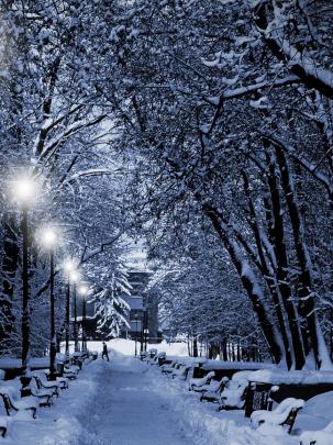 Free download Full HD Wallpapers Widescreen Desktop Wallpapers 