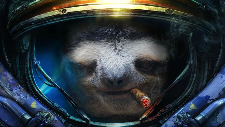 HD Sloth Wallpaper (73+ images)