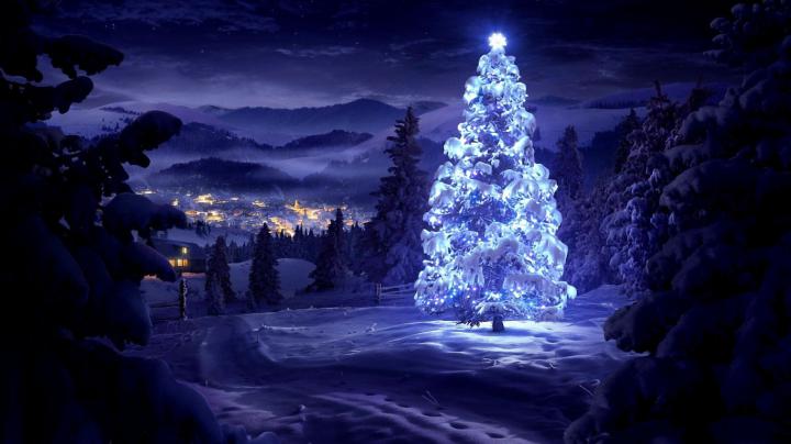Free download Wallpaper Download 1920x1080 Blue Christmas tree in the 
