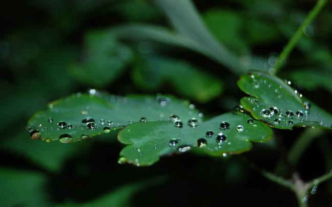 \u58c1\u7eb81440\u00d7900\u4fdd\u62a4\u773c\u775b\u7684\u58c1\u7eb8\u96c6\u58c1\u7eb8,\u4fdd\u62a4\u773c\u775b\u7684\u58c1\u7eb8\u96c6\u58c1\u7eb8\u56fe\u7247-\u5176\u4ed6\u58c1\u7eb8-\u5176\u4ed6\u56fe\u7247\u7d20\u6750-\u684c\u9762\u58c1\u7eb8