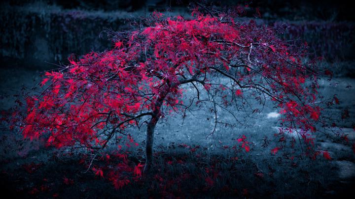 Ultra HD PC Wallpapers - Top Free Ultra HD PC Backgrounds - WallpaperAccess