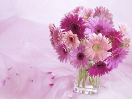 Free download Flowers Wallpaper 155 Wallpapers Desktop Wallpapers HD 