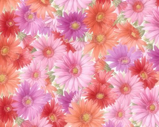 Free download Flowers Wallpaper 155 Wallpapers Desktop Wallpapers HD 