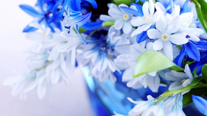 3d Natural Flowers Wallpaper - Full Screen Flower Wallpaper Hd 