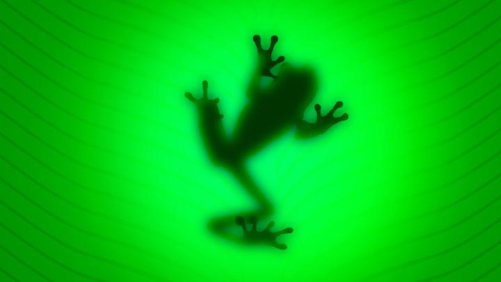 [48+] Frog Wallpaper for Walls 