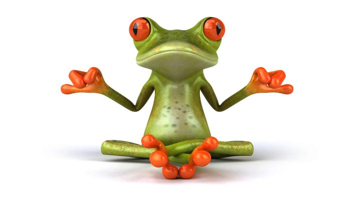 Cool Frog wallpaper | 1920x1080 | #12309