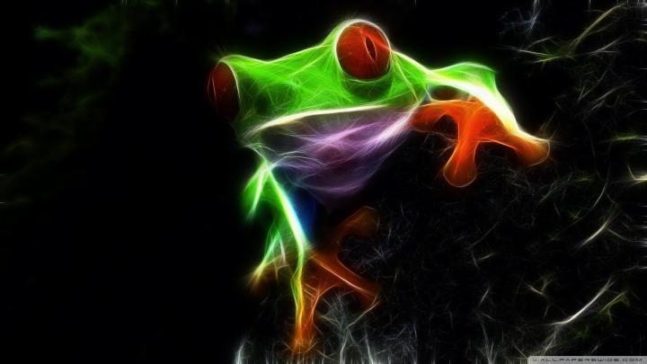 HD Frog Wallpaper -