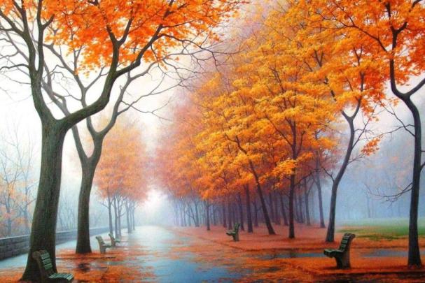 Beautiful Nature Wallpaper HD \u00b7\u2460 