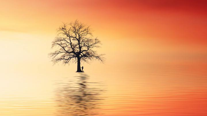 HD Nature Wallpapers Wallpapers - All Superior HD Nature Wallpapers 