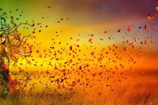 Full HD Nature Wallpapers \u00b7\u2460 