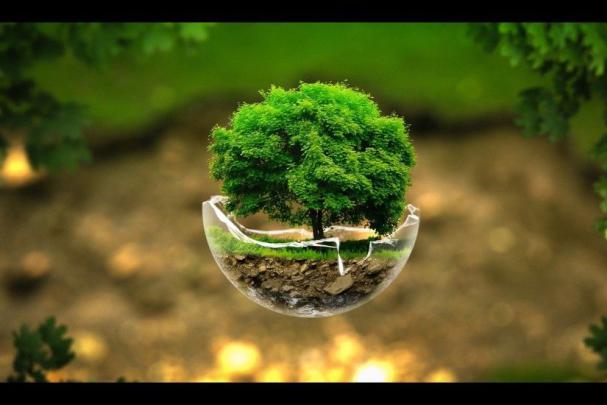 Full HD Nature Wallpapers \u00b7\u2460 