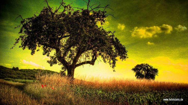Coole Desktop Wallpaper In Full Hd Hintergrundbilder - Natur 