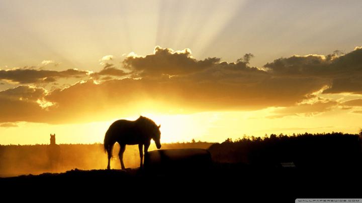 HD Farm Wallpaper (59+ images)