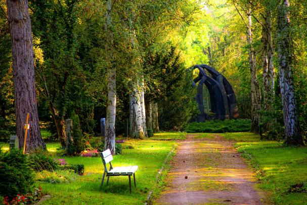 Nature Wallpaper 1600x900 \u00b7\u2460 