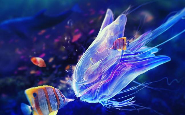 Jellyfish Wallpapers (69+ images)