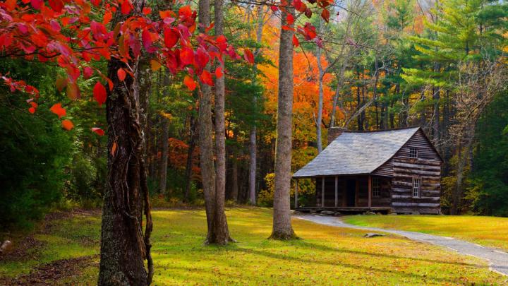 Autumn wallpaper HD \u00b7\u2460 Download free wallpapers for desktop, mobile 