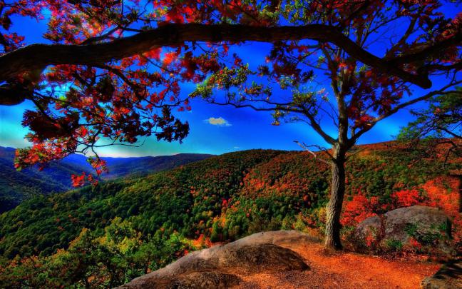 Fall Scenery Backgrounds \u00b7\u2460 
