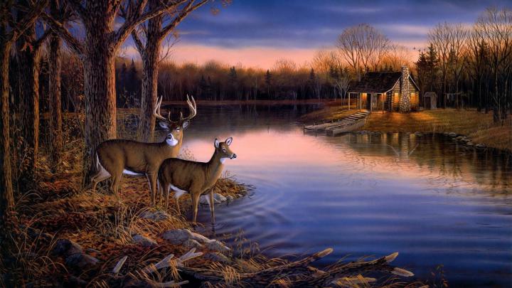 Deer Hunting Backgrounds \u00b7\u2460 