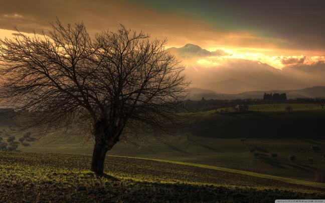 Early Spring Wallpaper Backgrounds (53+ images)