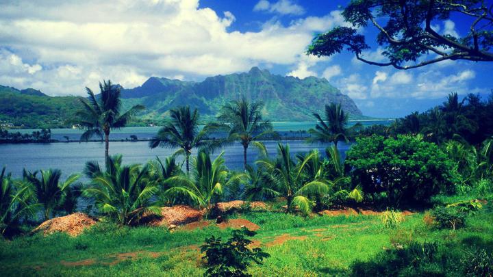 28++ Hd Wallpapers 1080p Nature Download - Venera Wallpaper