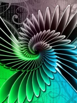 Free download full hd mobile wallpapers 1080x1920 for samsung nokia 