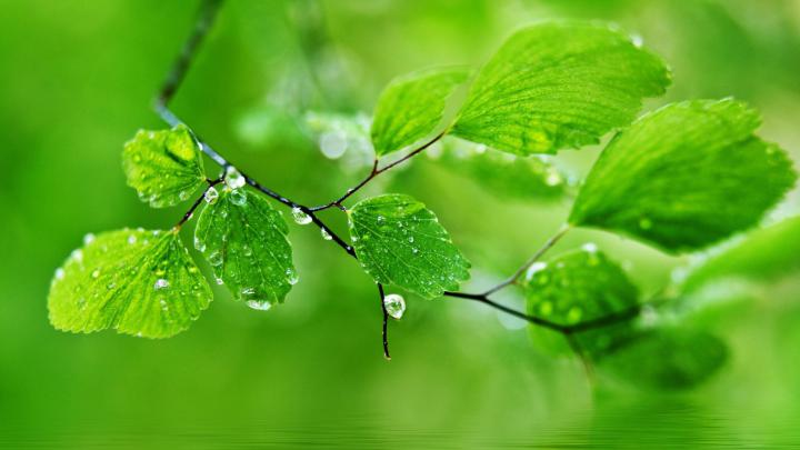1080P HD Desktop Wallpapers - Top Free 1080P HD Desktop Backgrounds 