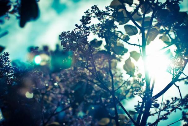 59+ Tumblr wallpapers \u00b7\u2460 Download free HD backgrounds for desktop 
