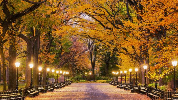 1920x1080, Central Park In Autumn Hd Wallpaper - 1920x1080 Wallpaper 