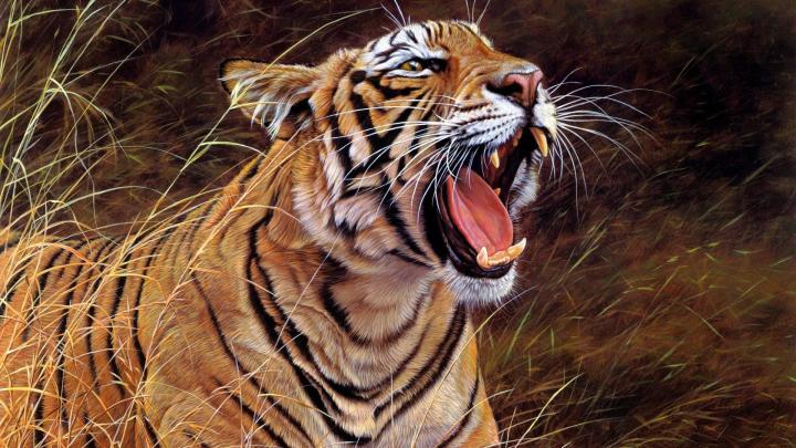 1920x1080, Bengal Tiger Roar Wallpaper - Roaring Tiger Images Hd 